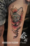 女生腿部时尚很酷的猫咪与花卉纹身图案