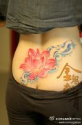 美女腰部精美漂亮的彩色红莲花纹身图案
