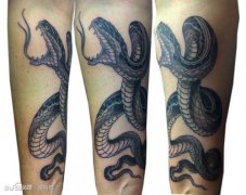 手臂潮流很酷的传统黑灰蛇纹身图案
