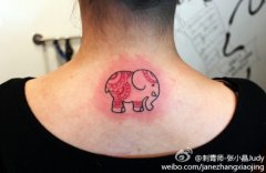 女生后脖子经典小巧的小象纹身图案