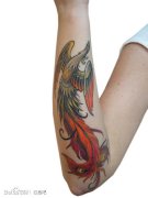 女生手臂潮流经典的传统凤凰纹身图案