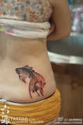 女生腰部时尚潮流的小金鱼纹身图案