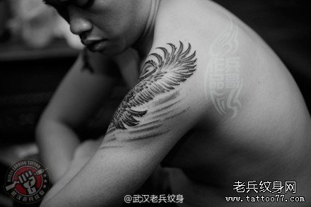 兵哥最新打造的肩膀展翅雄鹰纹身作品及意义