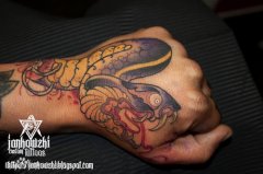 手背经典潮流彩色蛇纹身图案