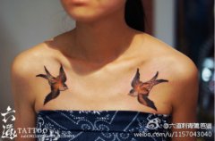 女生胸前潮流精美的小燕子纹身图案