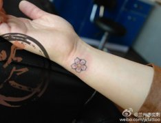 女生手腕小巧精美的樱花纹身图案