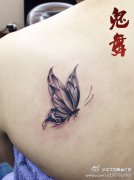 肩背潮流小巧的黑灰蝴蝶纹身图案