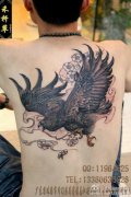 男生后背很酷经典的老鹰纹身图案