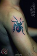 武汉老兵纹身店兵哥制作的手臂立体蜘蛛纹身作品