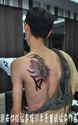 湖南怀化纹身学员曾斌打造的后背狼头实操作品
