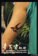 女生手臂内侧小巧潮流的燕子纹身图案