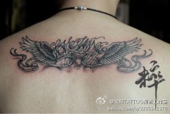 男生后背潮流时尚的黑灰翅膀纹身图案