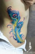 美女腰部精美时尚的羽毛纹身图案