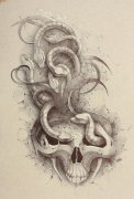 很流行的石雕美杜莎骷髅纹身作品