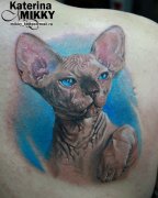 后背一张写实的猫咪纹身作品
