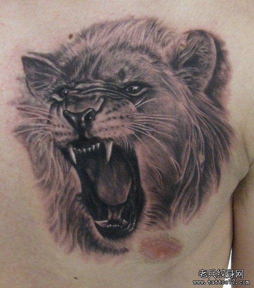 胸口上一款威猛的狮子头纹身图案