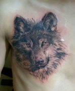 男生胸前很酷时尚的狼头纹身图案