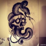 帅气潮流的一款骷髅与蛇纹身手稿