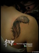 女生肩背唯美时尚的黑灰羽毛纹身图案