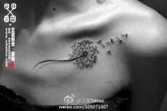 女生胸前唯美小巧的蒲公英纹身图案