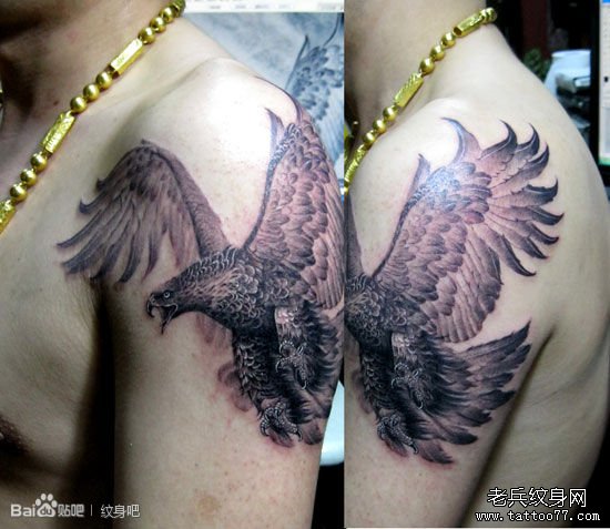大臂上一款霸气老鹰纹身图片
