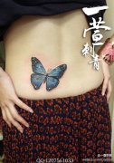 女生腰部好看的蓝色蝴蝶纹身图案
