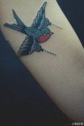手臂可爱经典的小燕子纹身图案