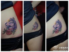 美女腹部时尚经典的马纹身图案