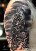 手臂潮流很酷的一款老鹰纹身图案