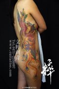 美女腰部唯美精美的凤凰纹身图案