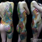 美女后背经典时尚的彩色凤凰纹身图案