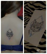 女生后背唯美好看的图腾猫咪纹身图案