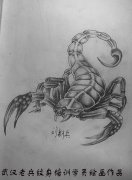 素描立体蝎子作品由武汉专业学纹身学校学员制作