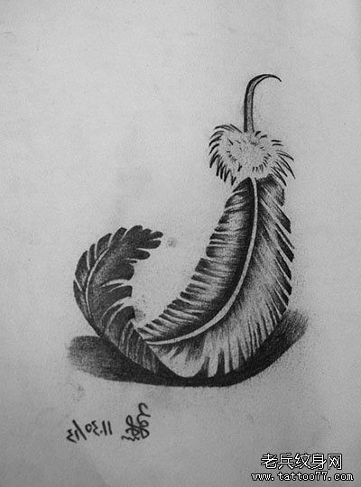 超立体的羽毛素描作品由武汉专业纹身学校学员制作
