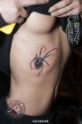 黑寡妇蜘蛛纹身作品遮盖疤痕