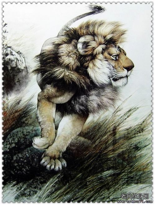 武汉老兵纹身店推荐一款狮子纹身手稿
