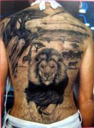 分享帅哥的一款满背狮子纹身图案