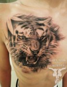 武汉专业纹身店为你推荐一款个性写实老虎纹身图案