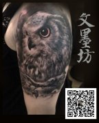 武汉最专业的纹身店为你推荐一款霸气潮流的大臂猫头鹰纹身图案