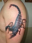 武汉最专业的纹身店为你推荐一款时尚个性的大臂蝎子纹身图案