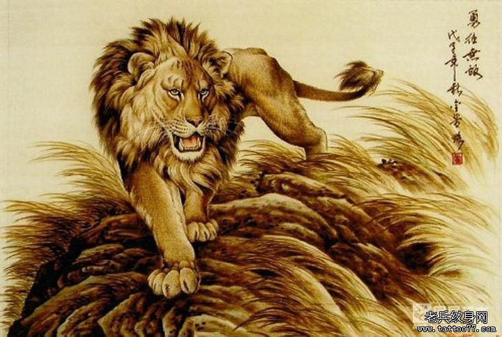 老兵纹身推荐一款霸气的狮子纹身手稿