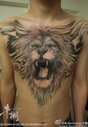 老兵纹身店推荐一款胸口霸气狮子纹身作品
