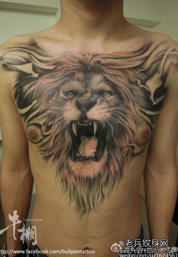 老兵纹身店推荐一款胸口霸气狮子纹身作品