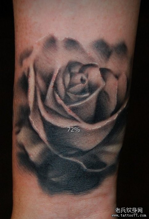 老兵纹身推荐一款漂亮的玫瑰花纹身图案