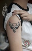 大臂图腾鹿头纹身作品由武汉纹身师疯子打造