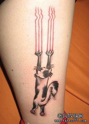 女性小腿猫咪tattoo图案由武汉tattoo店提供