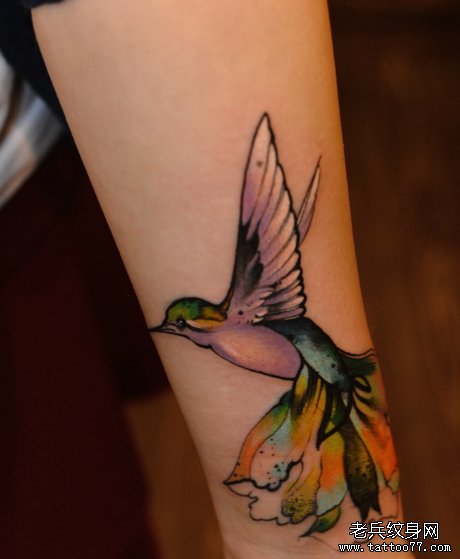 武汉tattoo店推荐一款手臂彩色燕子tattoo图案
