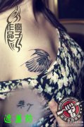 武汉纹身店疯子为两位美女打造的胸部翅膀纹身作品遮盖旧纹身图案