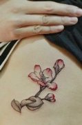 一款女性腰部花纹身图案由武汉最好的刺青店推荐