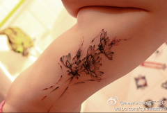 一款女性腰部写意雏菊纹身图案由武汉纹身店推荐